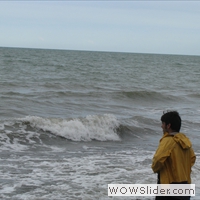 watching-waters-original